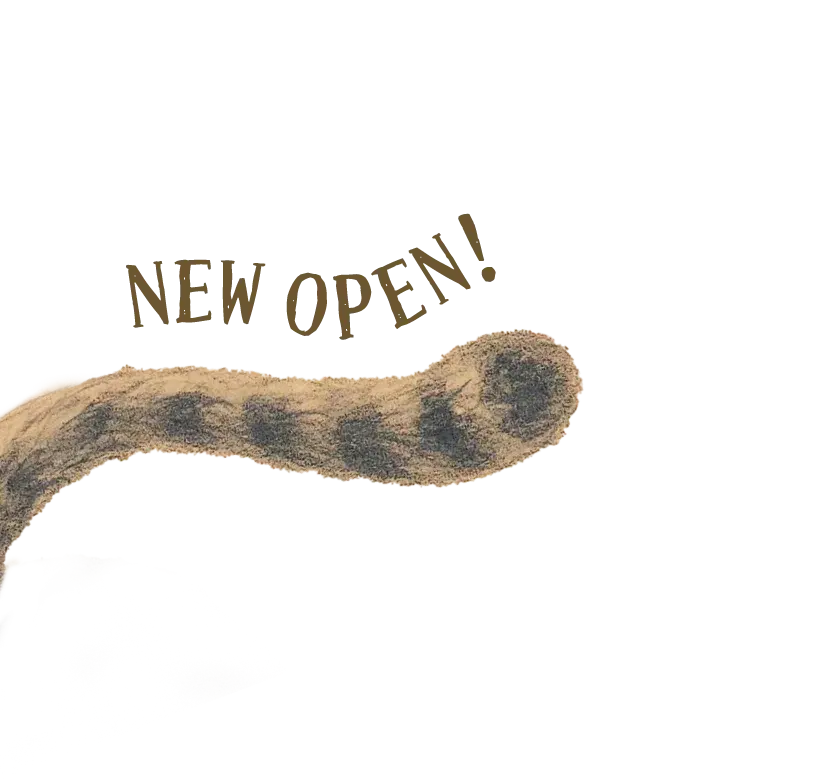 NIGHT OWLS NEW OPEN!