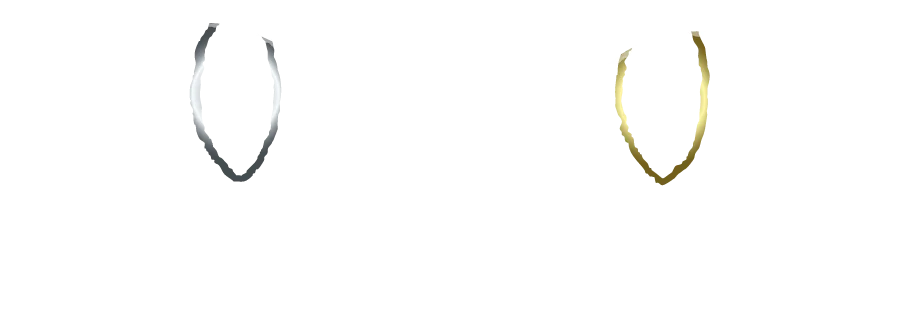 Aimer 2026 “Sing like a Stray Cat”