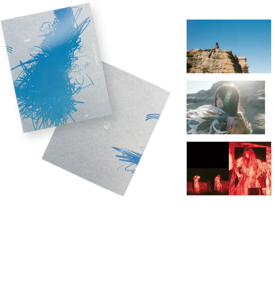 “Sing like a Stray Cat” PAMPHLET